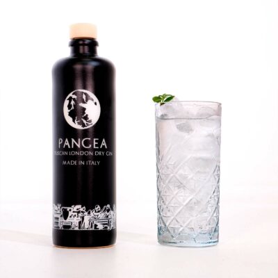 PANGEA GIN - immagine 2