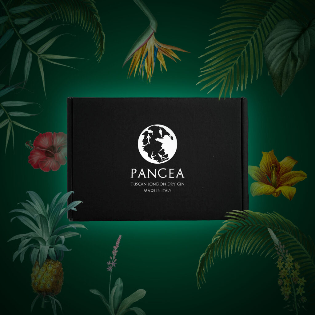 PANGEA GIN SUMMER BOX